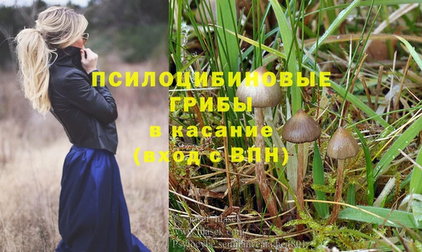 винт Армянск