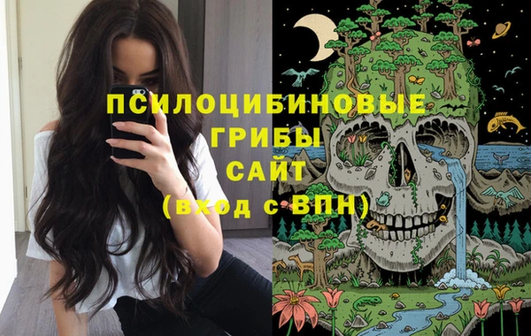 метадон Аркадак