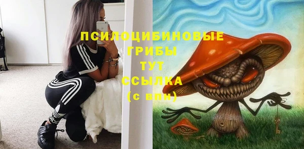 скорость Арсеньев